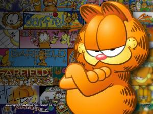 Garfield